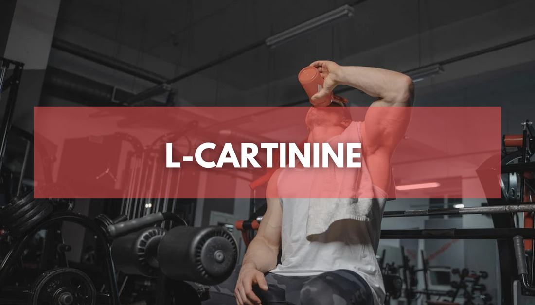 Who, When And Why To Take L-Carnitine: A Comprehensive Guide From Jack's Nutrition On L-Carnitine