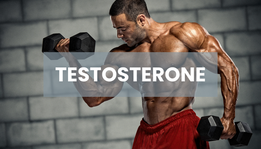 Who, When, and Why to Take Testosterone: A Comprehensive Guide from Jack's Nutrition
