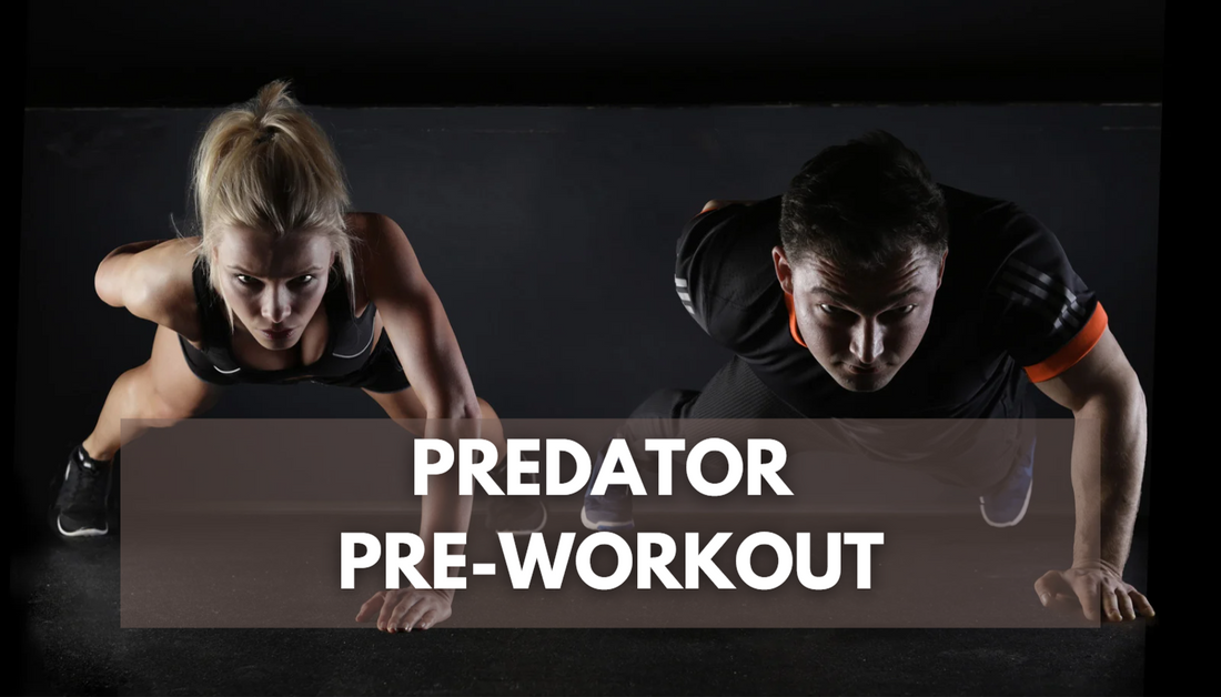 Who, When And Why To Take Predator Pre Workout: A Comprehensive Guide From Jack's Nutrition On  Predator Pre Workout